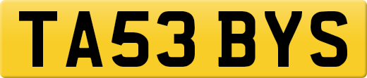 TA53BYS